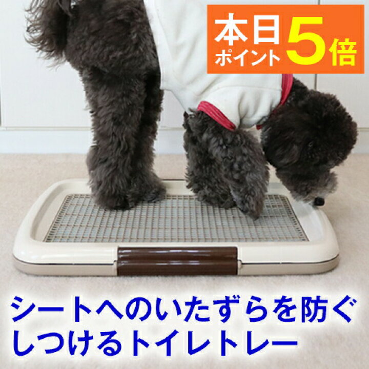 楽天市場 11 14限定 ポイント5倍 しつけるトイレトレー メッシュプラスs 48cm 35cm 犬用 トイレ いたずら防止 メッシュ付き トイレ シート の 交換 が 楽 しつけ 躾 トレーニング イタズラ パピー シニア 子犬 成犬 老犬 小型犬 ぺったんpet