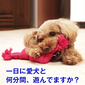 楽天市場 犬 噛む 歯ブラシの通販