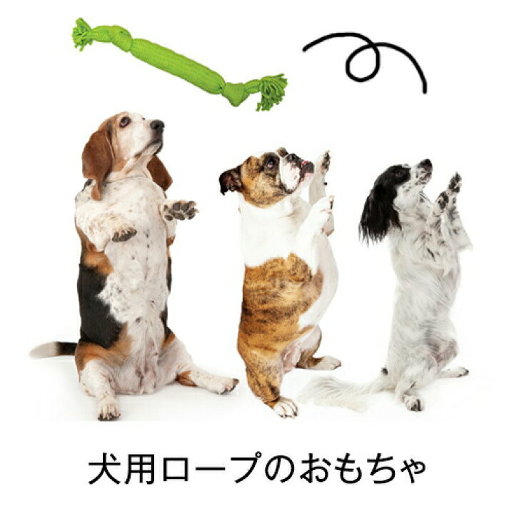 楽天市場 期間限定 11 4 19 59まで 21 にゃんワン Offクーポン 犬 おもちゃ スーパーロープ Mサイズ オモチャ 玩具 ロープ 紐 スクィーカー 鳴り笛 小型犬 中型犬 歯磨き ハミガキ はみがき デンタルケア 口臭 対策 歯垢 歯石 噛む トイプードル ダックス