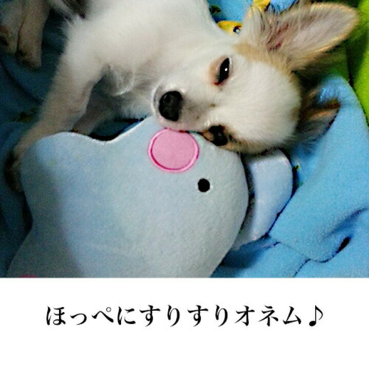 楽天市場 期間限定 P10倍 犬 猫 あごまくら ゾウさん ピンクのほっぺが優しい夢を紡ぎます ぬいぐるみ 犬のおもちゃ 猫のおもちゃ 犬用品 猫用品 抱き 枕 睡眠 熟睡 抱っこ わん ちゃん リラックス お 昼寝 遊び マクラ おすすめ 寝心地 かわいい 楽天市場 期間限定 P10倍 犬 猫 あごまくら ゾウさん ピンクのほっぺが優しい夢を紡ぎます ぬいぐるみ 犬のおもちゃ 猫のおもちゃ 犬用品 猫用品 抱き 枕 睡眠 熟睡 抱っこ わん ちゃん リラックス お 昼寝 遊び マクラ おすすめ 寝心地 かわいい