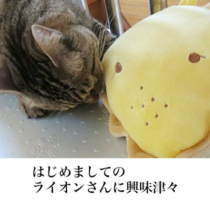 楽天市場 期間限定 11 3 11 59まで 12 ワンにゃん Offクーポン リスさん 犬 猫 あごまくら 落ち着く茶色でほっこリス ぬいぐるみ 犬のおもちゃ 猫のおもちゃ 抱き 枕 睡眠 熟睡 抱っこ リラックス 昼寝 遊び マクラ 寝心地 かわいい まったり ぺったんpet