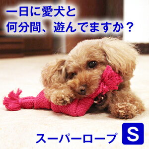 100~N[|E{聚p   ߋ [v  X[p[ [v STCY  ybgp  I` ^ ^ ^ v Rbg100% XgX