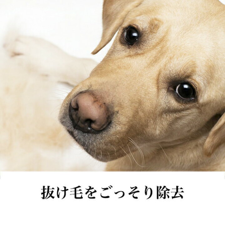 楽天市場 最大p23倍 毛玉 抜け毛 対策 ファーミネーター 短毛用 ｓ 小型犬 正規品 お手入れ いぬ ペット コーム ブラシ スリッカー バリカン アンダーコート ブラッシング グルーミング トリミング 簡単 初心者 清潔 毛玉 ほつれ もつれ 被毛ケア 除毛 無駄毛