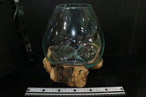 ypiEzNo1 KX LTCYy1_ ̔̔z()