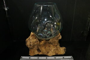 ypiEzNo2 KX LTCYy1_ ̔̔z()