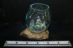 ypiEzNo1 KX STCYy1_ ̔̔z()