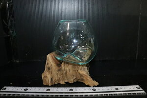 ypiEzNo2 KX STCYy1_ ̔̔z()