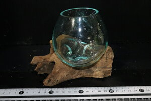 ypiEzNo4 KX SSTCYy1_ ̔̔z()