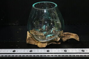 ypiEzNo5 KX SSTCYy1_ ̔̔z()