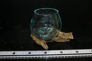 ypiEzNo6 KX SSTCYy1_ ̔̔z()