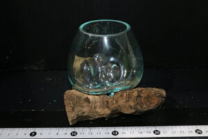 ypiEzNo8 KX SSTCYy1_ ̔̔z()