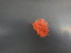 yWzyʔ́z① Cg Cg~~Y ay30gz(a)()(Mы)NK