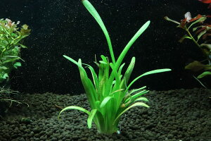 yʔ zY sO~[`F[TW^A(_)y1 Tv摜ziOi)íjiMыj