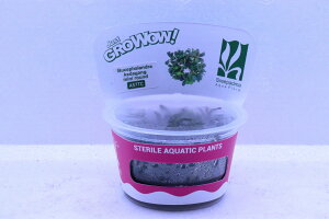 yʔ zgD|{ uZt@h sp N_K~jEh(_)y1Jbv Tv摜ziA)íjiMыj