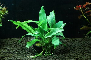 yʔ zAkrAX oe[ VAR Ou (Ai)y1|bg Tv摜ziA)íjiMыj