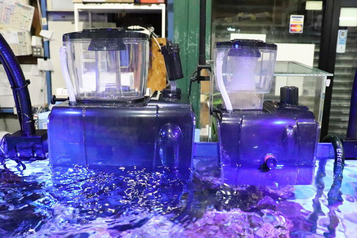 楽天市場】【飼育用品・器具】【プロテインスキマー】【ゼンスイ 