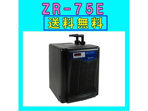ypiEzypN[[zy[XCz ZR-75EpN[[[J[ۏ؊1NyEzy񂹏iz(W Cp)