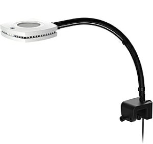 ypiEzyƖzyLSSz Prime@16HD reef@@zCg(C)