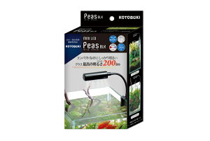 ypiEzyGEXz ~jLED s[X ubN