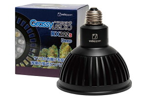 y{NXWpz GrassyLeDio RX122s Deep B [GLRX122S/DP]