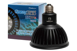 y{NXWpz GrassyLeDio RX122s Coral B [GLRX122S/CR]