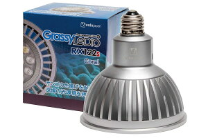 y{NXWpz GrassyLeDio RX122s Coral S Vo[[GLRX122S/CR]