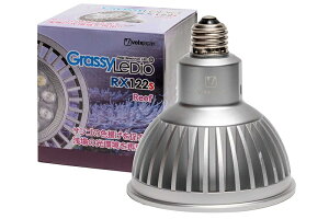 y{NXWpz GrassyLeDio RX122s Reef S Vo[ [GLRX122S/RF]