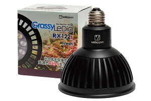 y{NXWpz GrassyLeDio RX122s Fresh B [GLRX122S/FR]