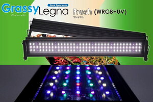 【照明器具】【LED照明】【ボルクスジャパン】 GrassyLegna 45 Fresh / WRGBV