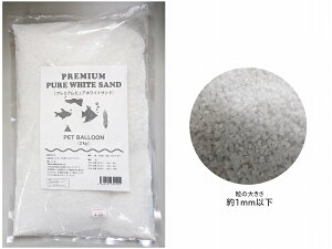 yꍻzyIWizv~AsAzCgTh@2kg