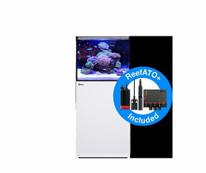 ypiEzy^iʓrzy񂹁zyRed Seaz@Reefer G2{ 170 zCg (I[o[t[ [t@[)