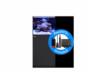 ypiEzy^iʓrzy񂹁zyRed Seaz@Reefer G2{ 170 ubN (I[o[t[ [t@[)