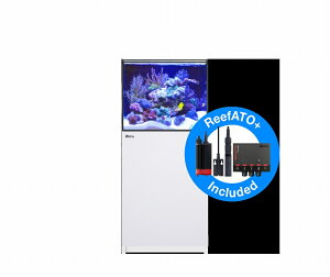 ypiEzy^iʓrzy񂹁zyRed Seaz@Reefer G2{ 200 zCg (I[o[t[ [t@[)