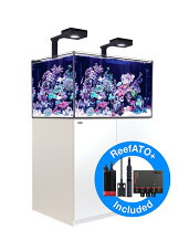 楽天市場】reefer250の通販