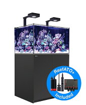 楽天市場】red sea reefer 170の通販