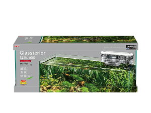 ypiEzyzOXeA600X XtB^[Zbg 3Nۏ(W Cp)