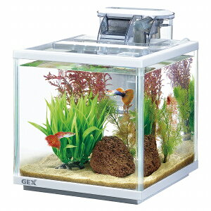 ypiEzyZbgzGEX XANAZbg 200(WAC)