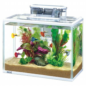 ypiEzyZbgzGEX XANAZbg 300(WAC)