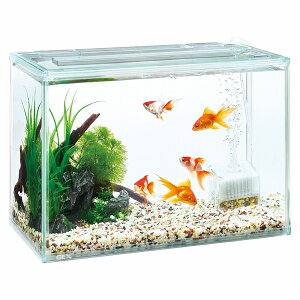 ypiEzyZbgzCԂԂNA 400(WAC)