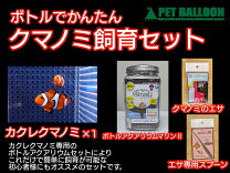 楽天市場】カクレクマノミ 飼育 セットの通販