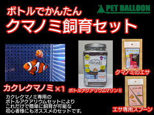 ypiEzyCEN}m~z{gł񂽂N}m~Zbgi̕tZbgj