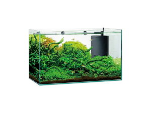 【飼育用品・器具】【水槽】【GEX】 グラステリア サイレント 600ST(淡水 海水用)
