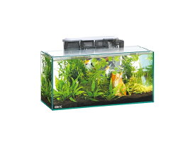 【飼育用品・器具】【水槽】GEX グラステリア スリム 450 6点セット(淡水 海水用)