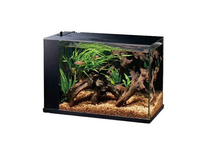 楽天市場 飼育用品 器具 水槽 Gex ラクテリア ブラック 淡水 海水用 ペットバルーン楽天市場支店