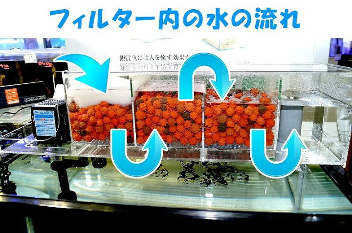 楽天市場】【飼育用品・器具】【フィルター】【上部フィルター 