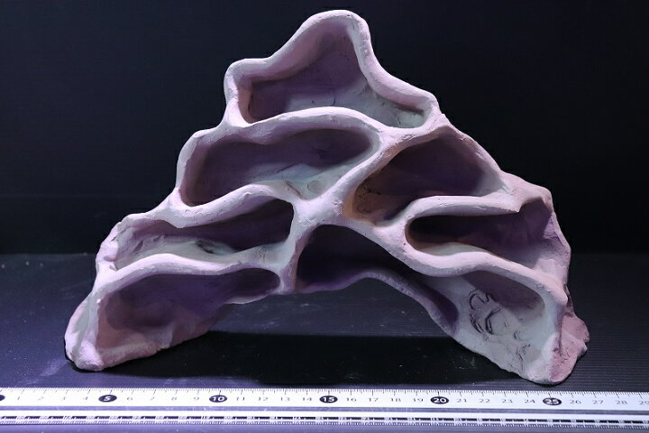 楽天市場 熱帯魚 シェルター シェルタクラフタ アリの巣型シェルター １個 サンプル画像 淡水 ペットバルーン楽天市場支店