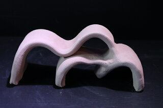 楽天市場 熱帯魚 シェルター シェルタクラフタ 基本型 Lsサイズシェルター １個 サンプル画像 淡水 ペットバルーン楽天市場支店