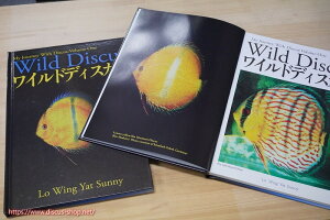 【飼育用品・器具】【書籍】Wild Discus(ワイルドディスカス) 著者 LO WING YAT SUNNY (ワイルドディスカス洋書)