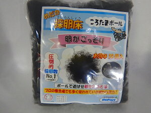 ypiEzy߂ObYzyMIPLUSz 낽܃{[TYPE-A@m[}^Cv@10