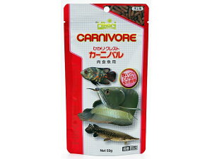 ypiEaz L[ NXgJ[jo 53gyaz (Wp)(a)